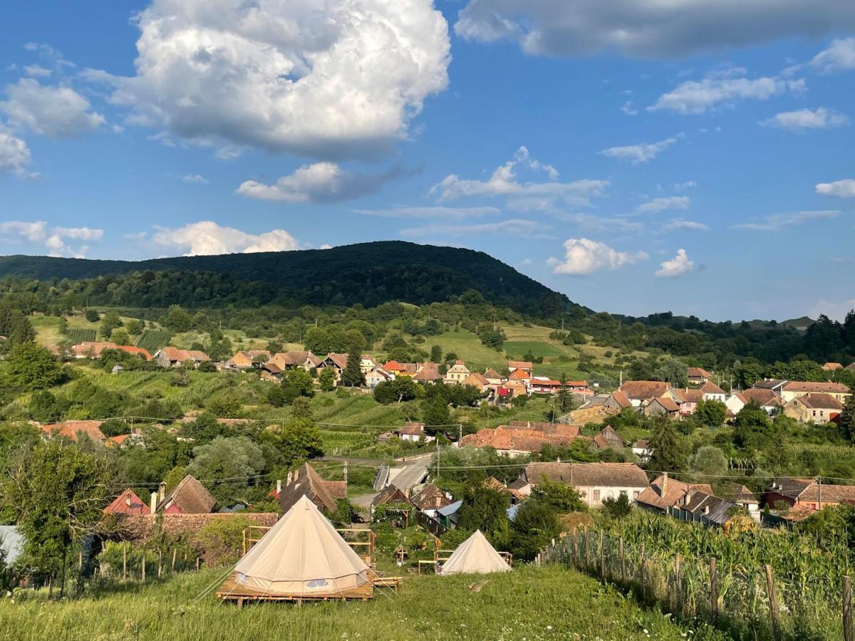 Saschiz 130/Lodging And Glamping Экстерьер фото