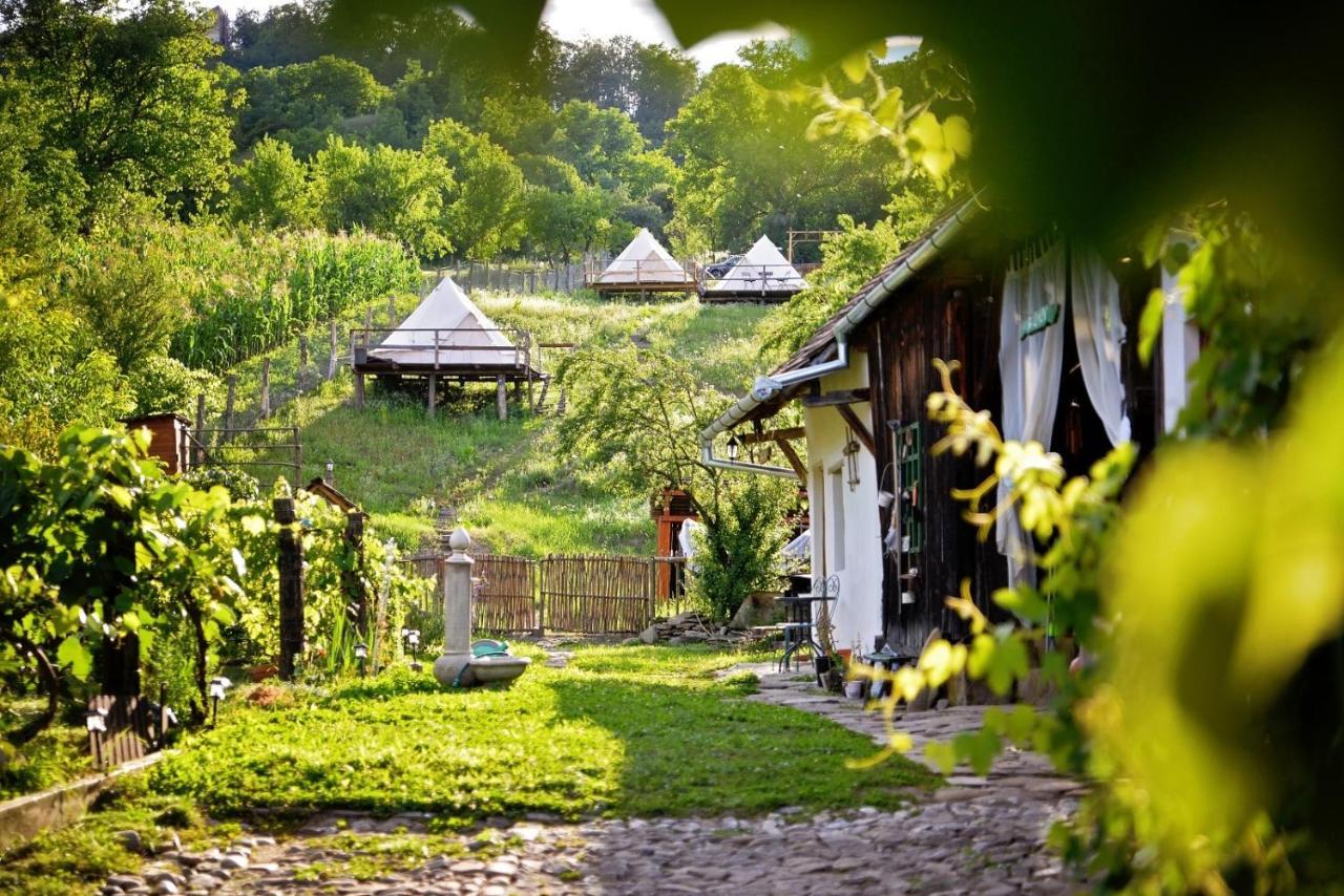 Saschiz 130/Lodging And Glamping Экстерьер фото